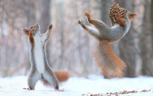 Погода на сегодня: в Украине ожидается снег с дождем, температура до -6