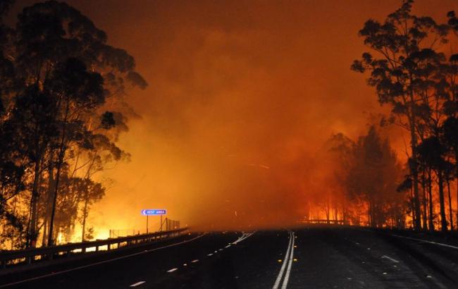 Жители Австралии покидают дома из-за лесных пожаров