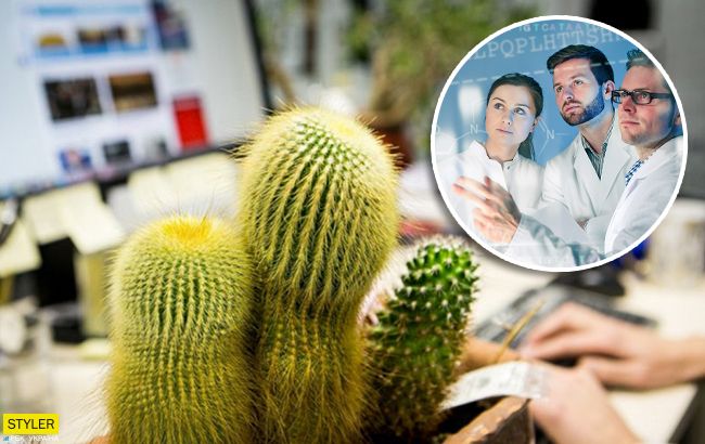 Не ставте біля комп'ютера: українські вчені розвінчали популярний міф