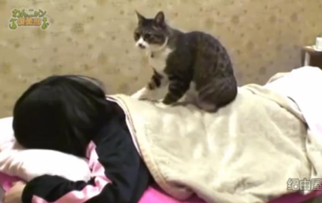 Справжній релакс: в японському спа-центрі пропонують "котячий" масаж