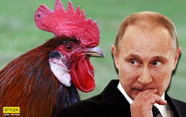 Путин опозорился из-за петушка (видео)