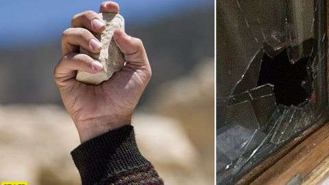 Озлобленные олени: поезд Киев-Запорожье вандалы забросали камнями (фото)