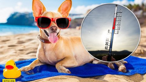 На один месяц лета меньше: украинцев ждут кардинальные изменения климата