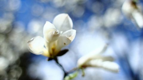 Сьогодні в Україні буде тепло і сонячно