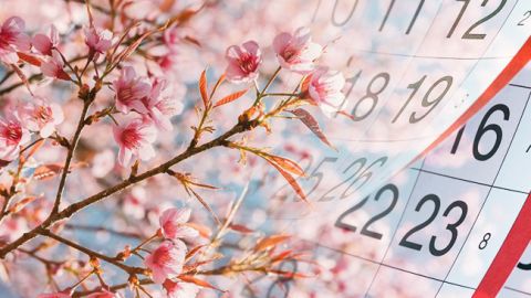 У квітні українці відпочиватимуть десять днів