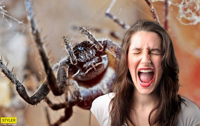 Під Києвом на жінку напав величезний чорний павук: усі подробиці