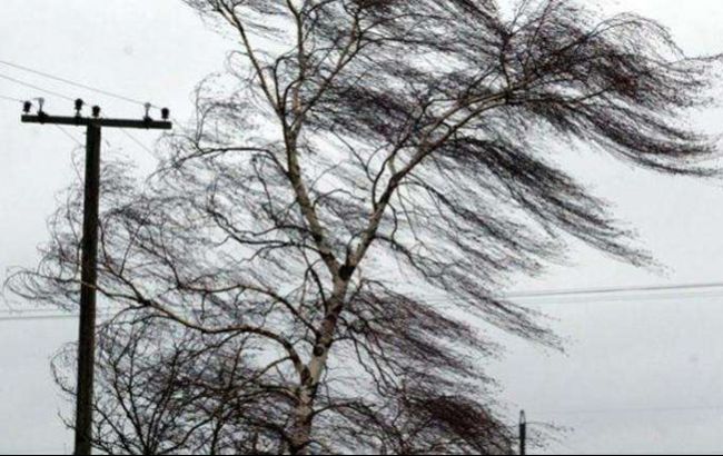В Киеве сегодня ухудшится погода