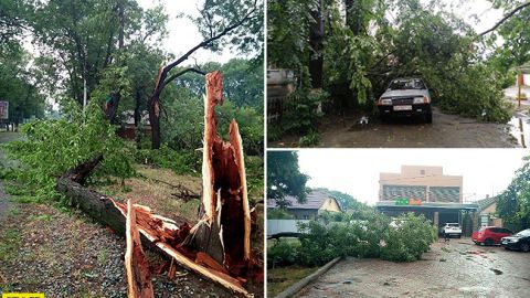 Срывал крыши с домов: фото страшных последствий урагана под Одессой