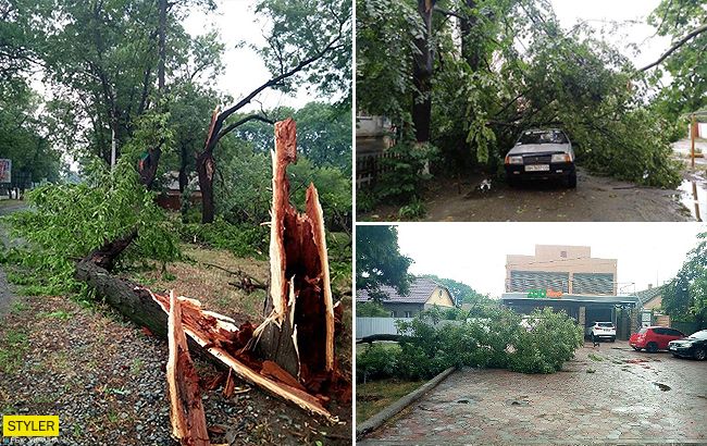 Срывал крыши с домов: фото страшных последствий урагана под Одессой