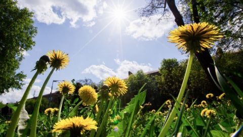 Завтра в Украине потеплеет до +29