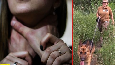 З'явилися шокуючі деталі вбивства співробітниці Ради під Києвом