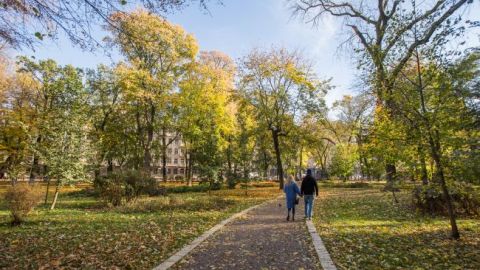 Температура в Україні завтра опуститься до +8