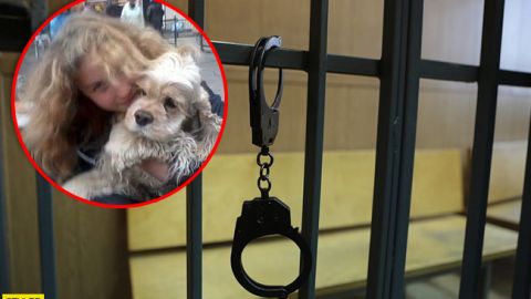 Під Києвом жінка замучила сотні тварин: їй "світить" до 8 років за гратами