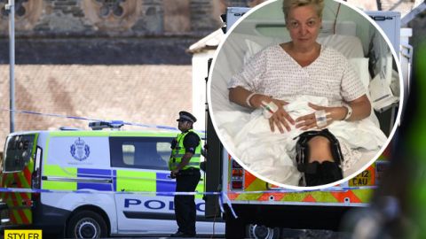 Гонтарєву збив автомобіль в Лондоні: поліція розкрила подробиці