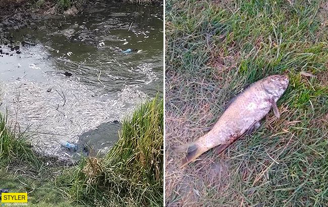 Річка перетворилася на могильник: на Волині назріває екологічна катастрофа (відео)