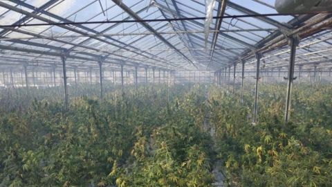 На Прикарпатті поліція викрила найбільшу нарколабораторію