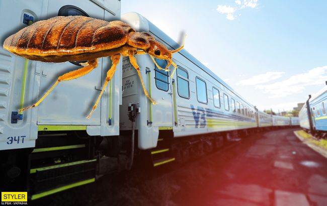 Люкс с клопами за 2 тысячи гривен: Укрзализныця угодила в очередной скандал (фото) 