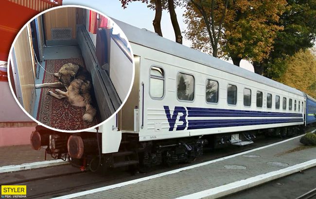 Ставлення як до худоби: Укрзалізниця потрапила в новий скандал (фото)