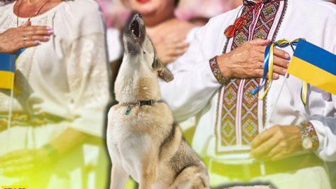Пес-патріот заспівав під гімн України і підкорив мережу (відео)
