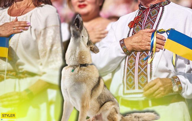 Пес-патриот спел под гимн Украины и покорил сеть (видео)