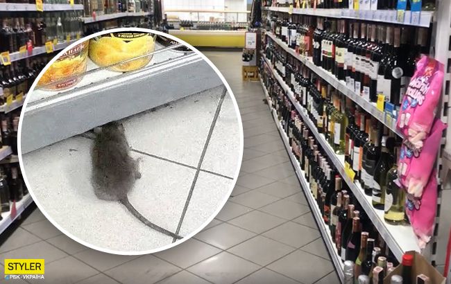 Щури розміром з собаку: київський супермаркет вляпався у скандал (відео)