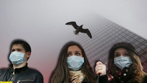 Фотохімічний смог: киянам розповіли про нову небезпеку