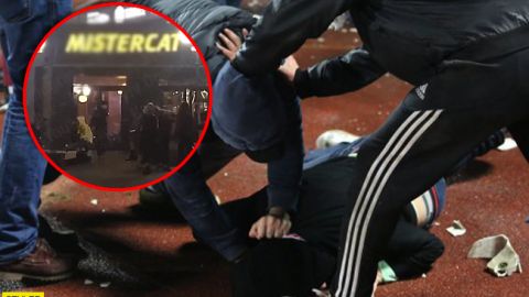 draka v kieve v mistercat povilos