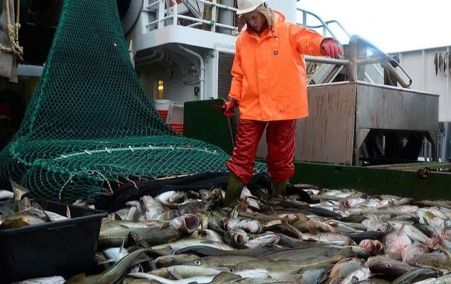Украина и РФ дистанционно подпишут договор о ловле рыбы в Азовском море