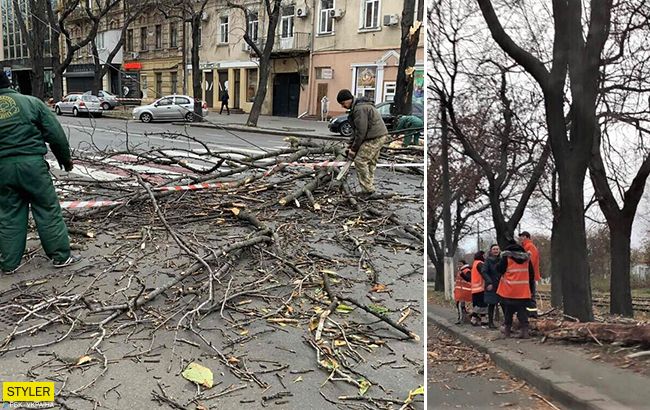 В Одессе мощный шторм повалил деревья и наделал много беды (фото)