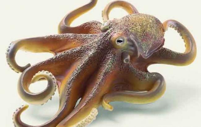 Гороскоп на сегодня, 10 ноября