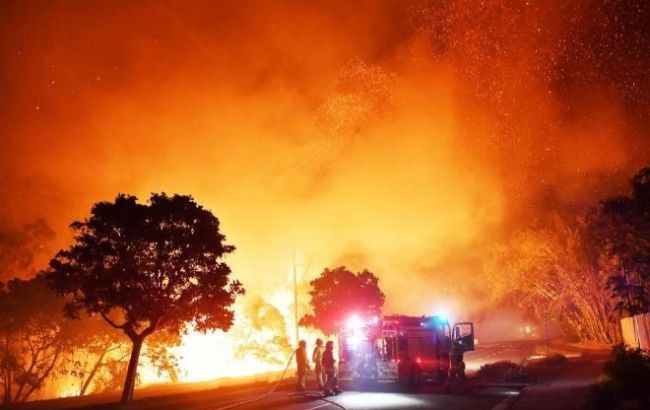 В Австралии объявили чрезвычайное положение из-за продолжительных лесных пожаров