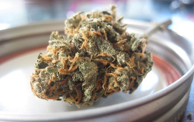 В Британии легализовали лекарства на основе конопли