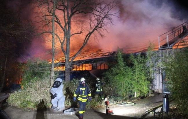 У німецькому зоопарку сталася пожежа в новорічну ніч, десятки тварин загинули