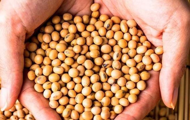 Экономический эффект &laquo;соевых правок&raquo;: новое исследование аналитиков EasyBusiness