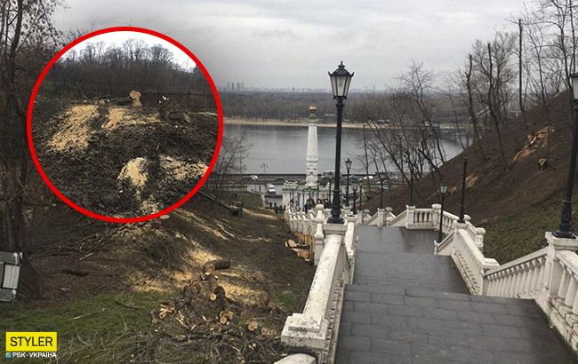 В центре Киева нагло рубят деревья: в зоне культурного наследия (фото)