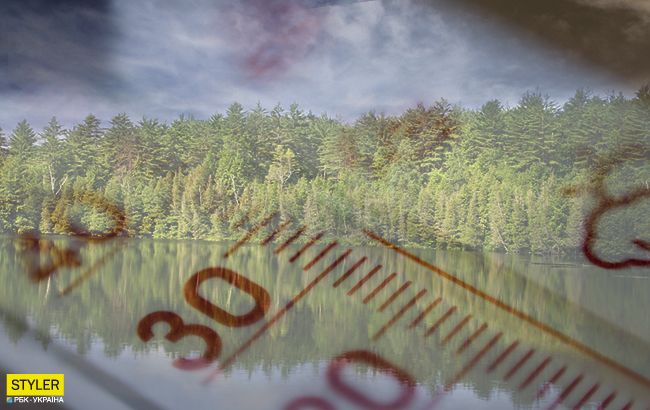 Вчені б'ють на сполох через глобальне потепління: ліси можуть стати озерами за місяць