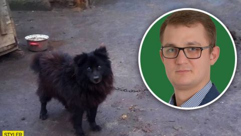 Собаку за газ: Брагар рассказал, чему его научил громкий скандал (видео)