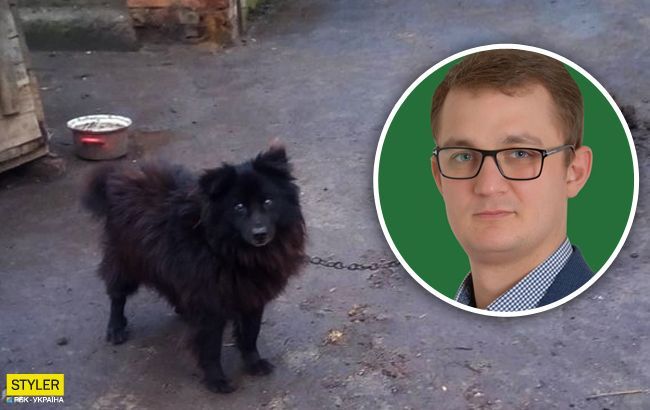 Собаку за газ: Кравчук різко висловився про скандал з Брагаром