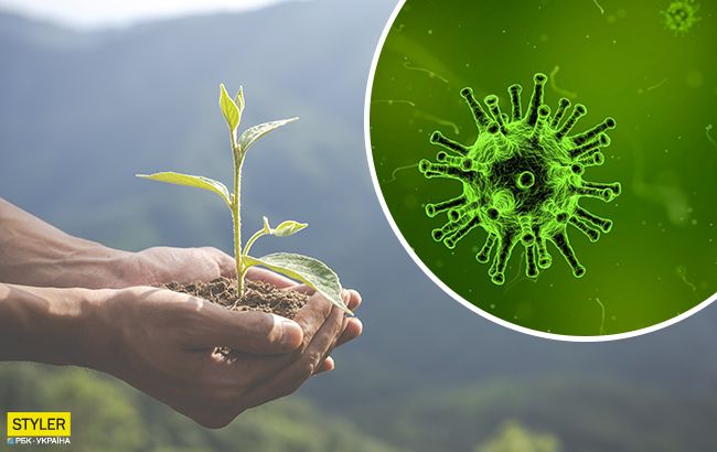 Коронавірус рятує Землю?