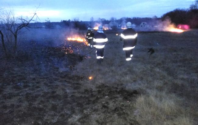 В Полтавской области резко увеличилось количество пожаров в экосистемах
