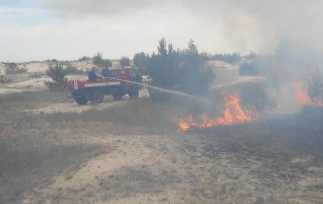 В Киевской области за сутки зафиксировали 124 пожара в экосистемах