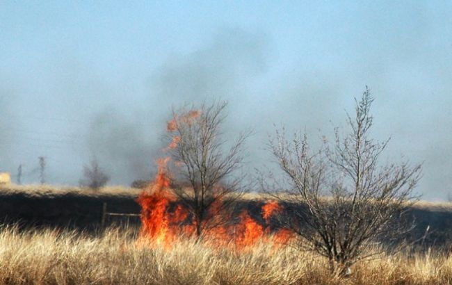 У Миколаївській області через підпал сухої рослинності за добу вигоріло 2 га землі