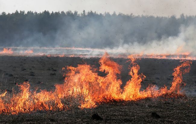 У Житомирській області локалізували осередок пожежі