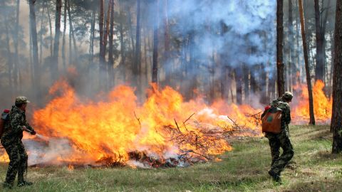 У деяких регіонах України сьогодні підвищений рівень пожежної небезпеки, - ДСНС