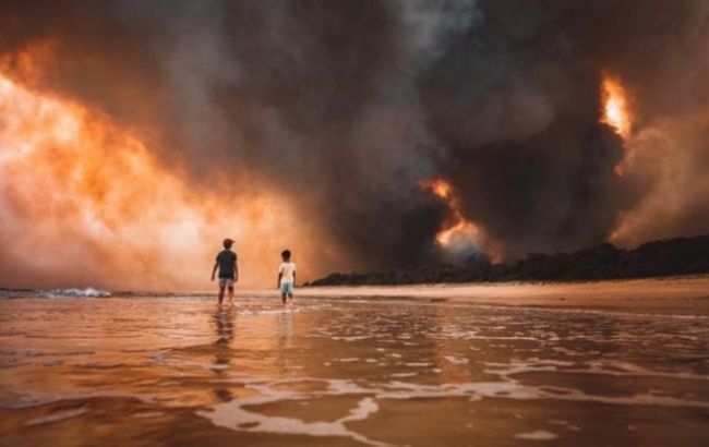 В Австралии вследствие лесных пожаров погибли более 400 человек, - исследование