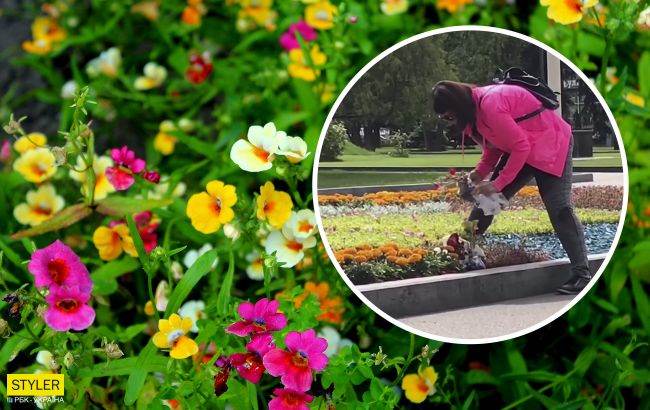 В центре Харькова женщина воровала цветы с клумбы: видео инцидента возмутило сеть