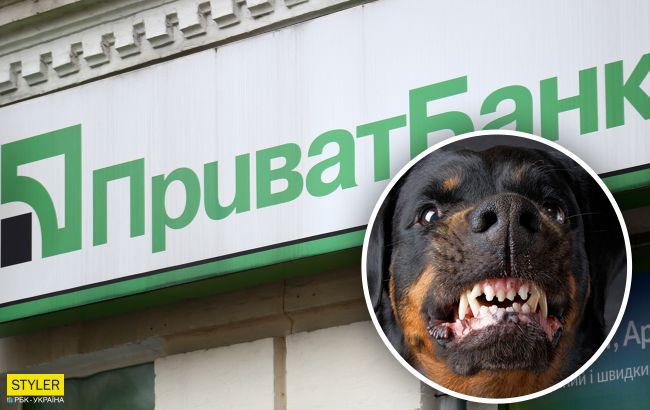 Співробітницю ПриватБанку покусала собака: господар пса не хотів залишати чергу в банк