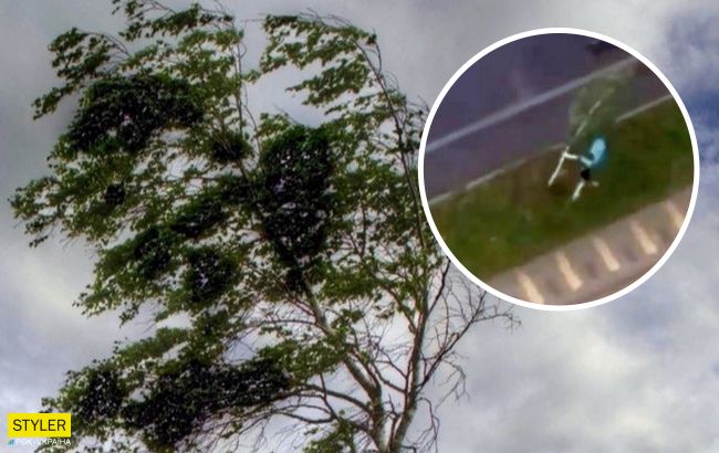 В Киеве ветер чуть не унес ребенка вместе с деревом (видео)