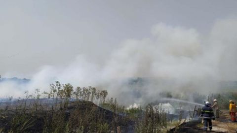 У Дніпропетровській області спалахнула пожежа в екосистемі