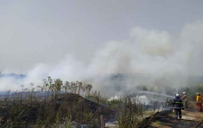 У Дніпропетровській області спалахнула пожежа в екосистемі